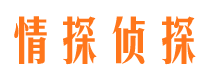 浔阳寻人公司